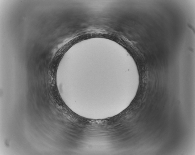 X0000102021303200808151306