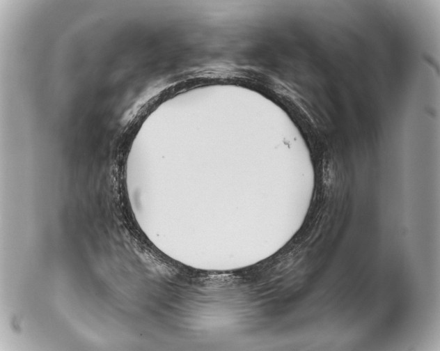 X0000102021304200808151306