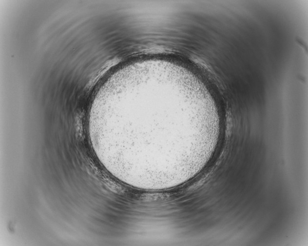 X0000102021305200808151306