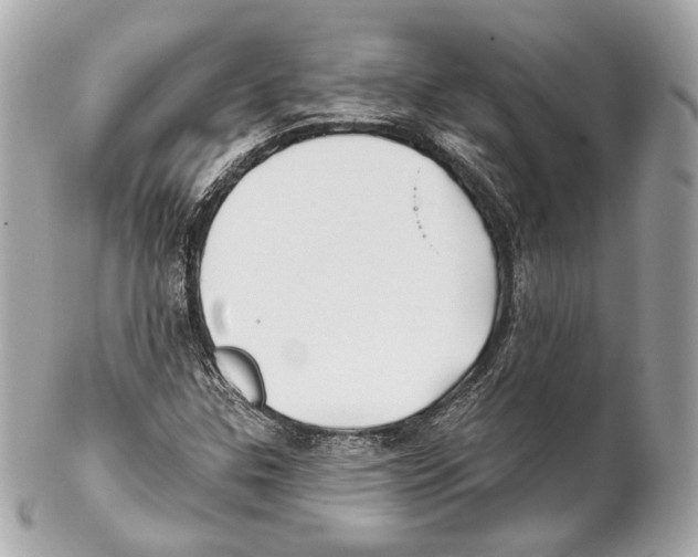 X0000102021307200808151306