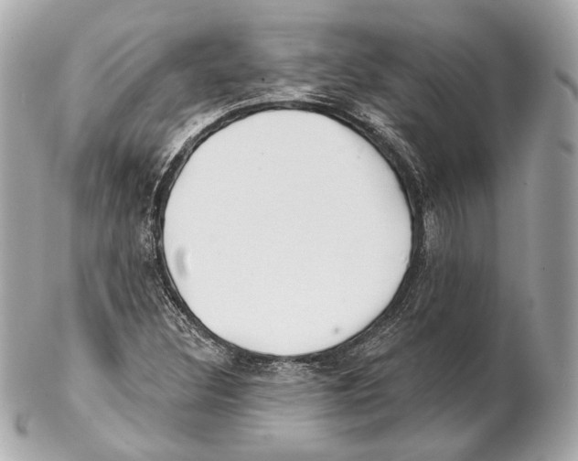 X0000102021308200808151306