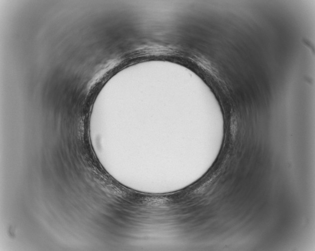 X0000102021309200808151306
