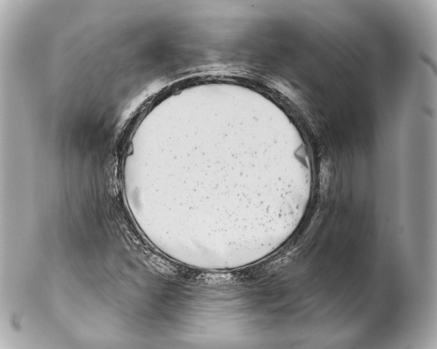 X0000102021310200808151306