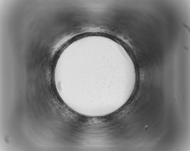 X0000102021311200808151306