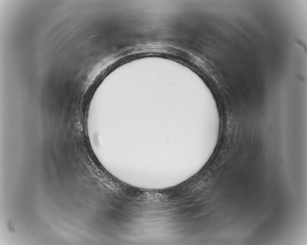X0000102021312200808151306