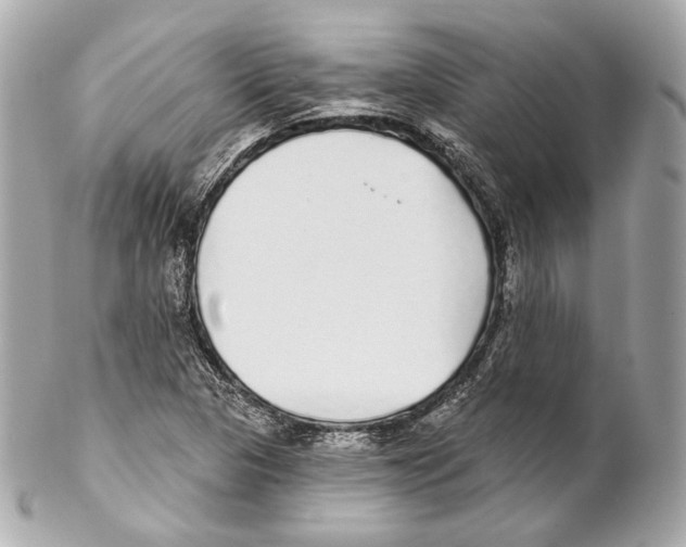 X0000102021313200808151306