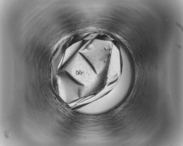 X0000102021314200808151306