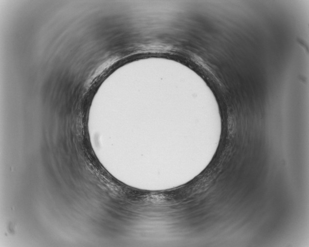 X0000102021315200808151306