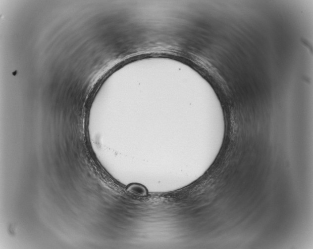 X0000102021316200808151306
