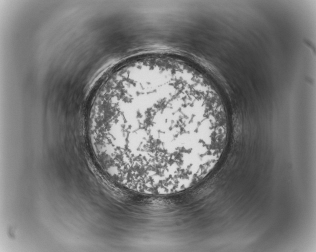 X0000102021318200808151306