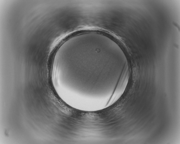 X0000102021319200808151306