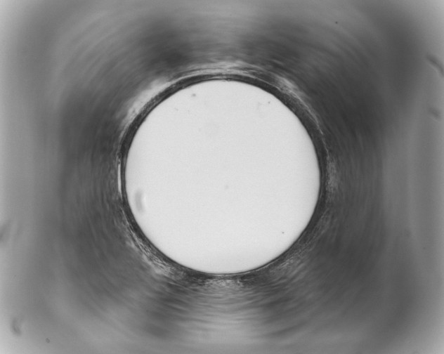 X0000102021320200808151306