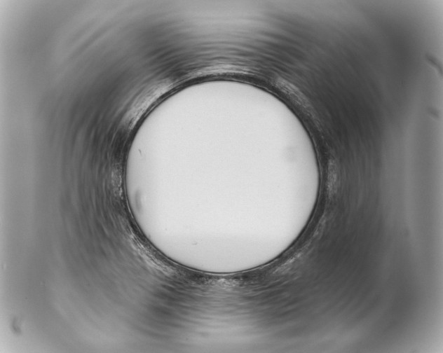 X0000102021321200808151306