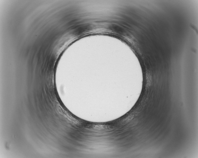 X0000102021322200808151306