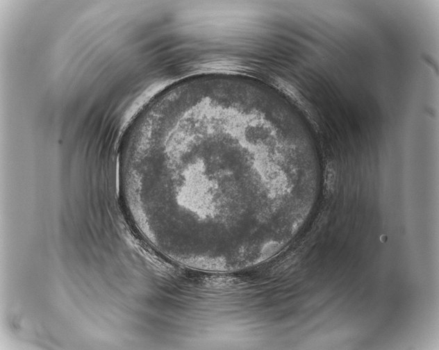 X0000102021323200808151306