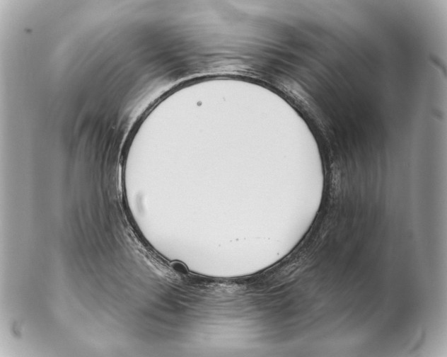 X0000102021324200808151306