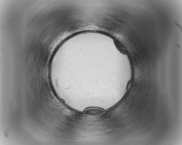 X0000102021326200808151306