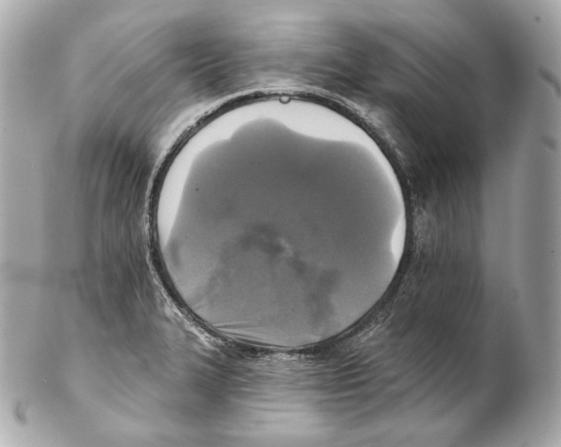 X0000102021327200808151306