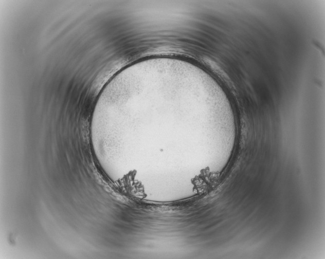 X0000102021329200808151306