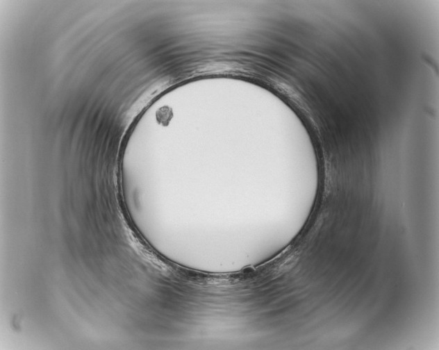 X0000102021330200808151306