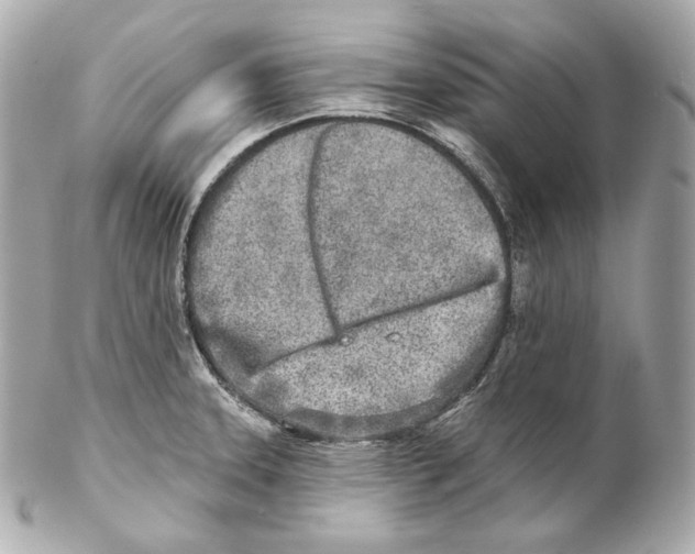 X0000102021331200808151306