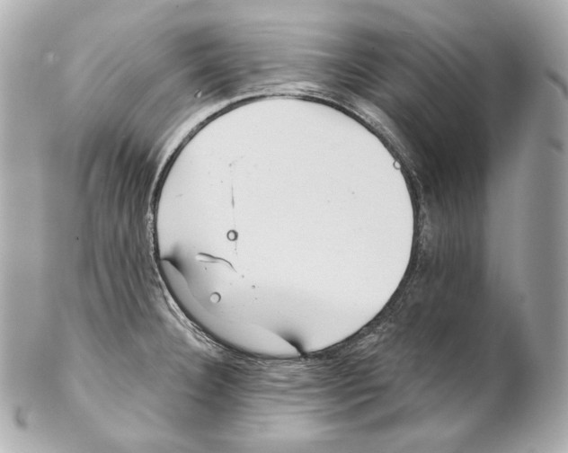X0000102021332200808151306