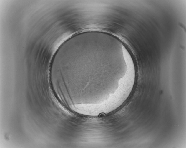 X0000102021333200808151306