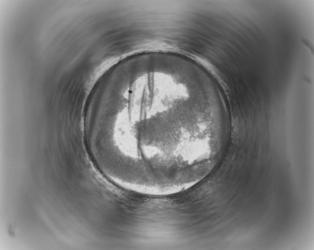 X0000102021335200808151306