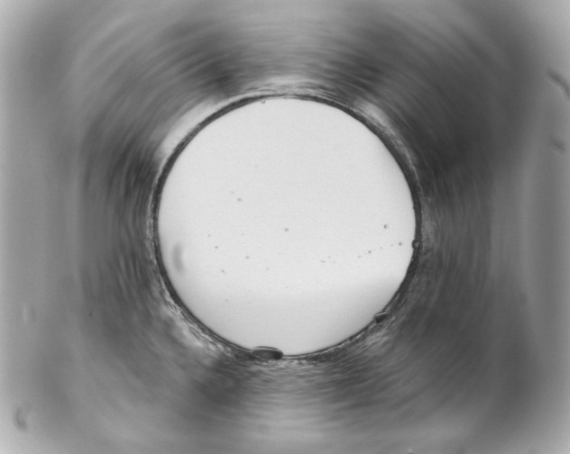 X0000102021336200808151306
