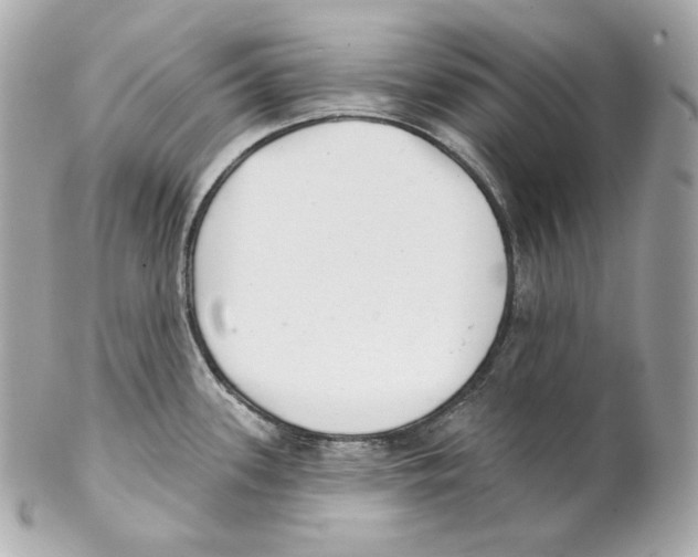 X0000102021339200808151306