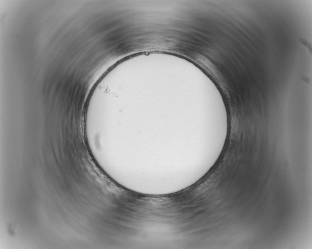 X0000102021340200808151306