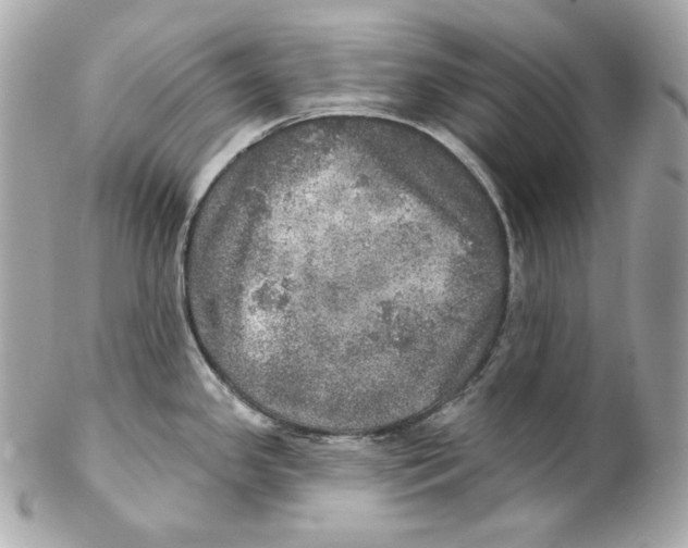 X0000102021341200808151306