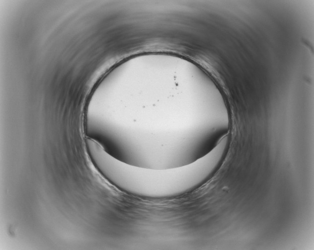 X0000102021342200808151306