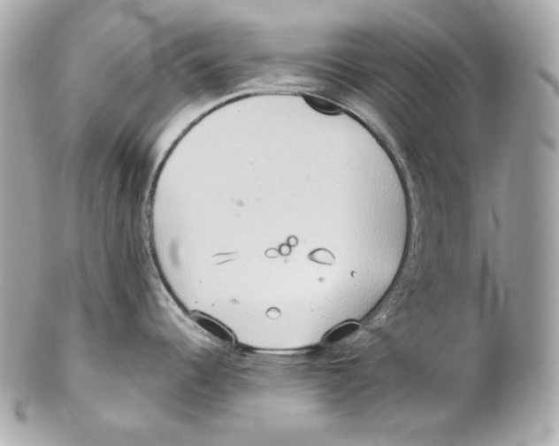 X0000102021344200808151306
