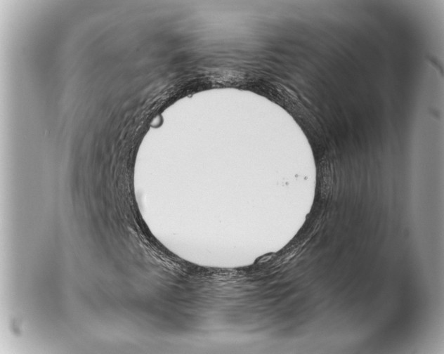 X0000102021345200808151306
