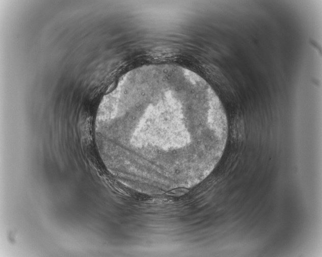 X0000102021346200808151306