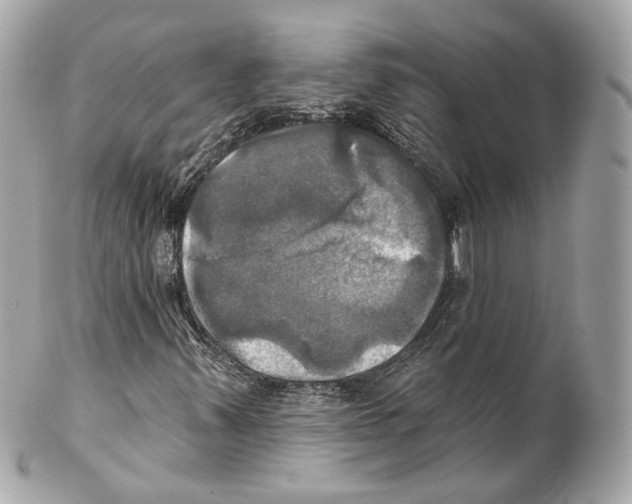 X0000102021347200808151305