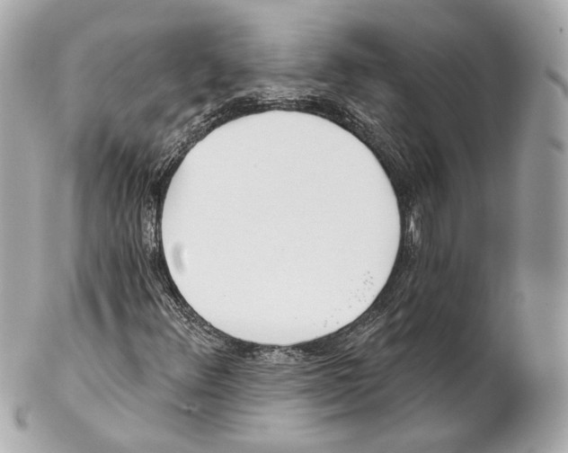 X0000102021348200808151305