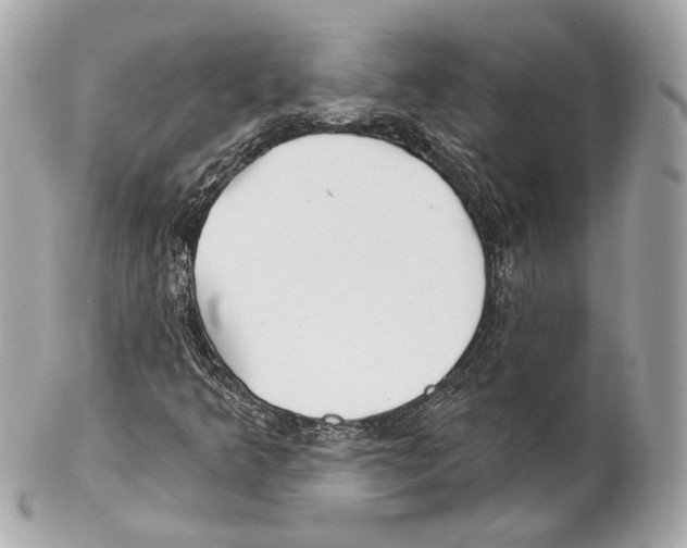 X0000102021349200808151305