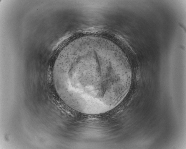 X0000102021350200808151305