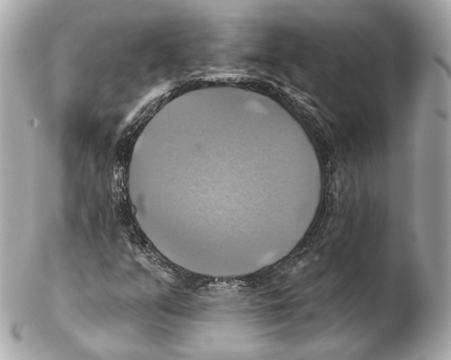 X0000102021351200808151305
