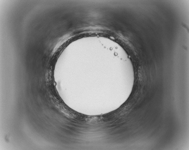 X0000102021352200808151305