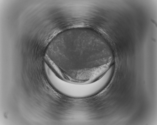 X0000102021353200808151305