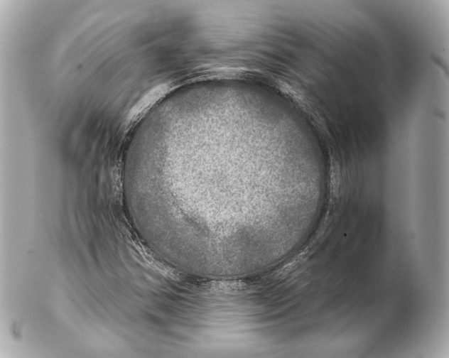 X0000102021354200808151305