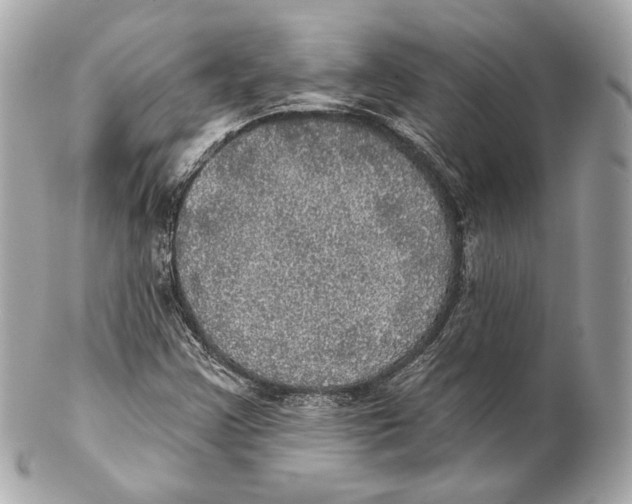 X0000102021355200808151305