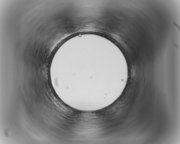 X0000102021356200808151305