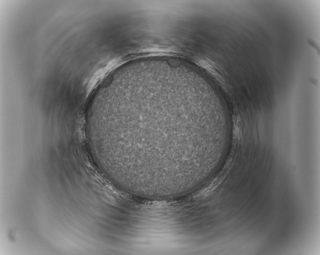 X0000102021357200808151305