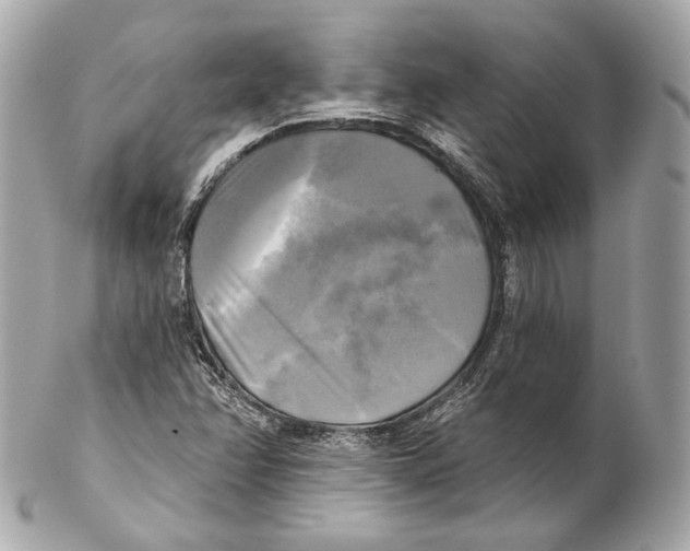 X0000102021358200808151305