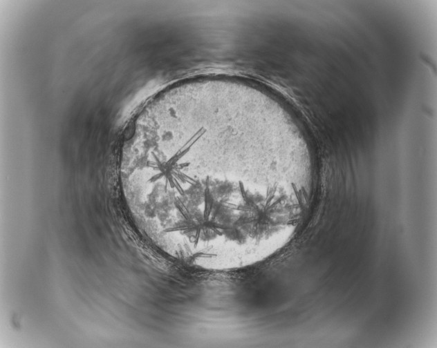 X0000102021359200808151305