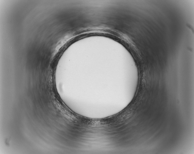X0000102021360200808151305